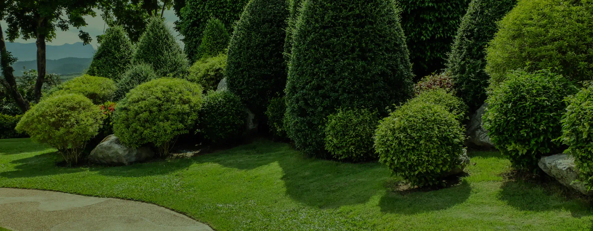 beautiful garden with lots of shaped trees