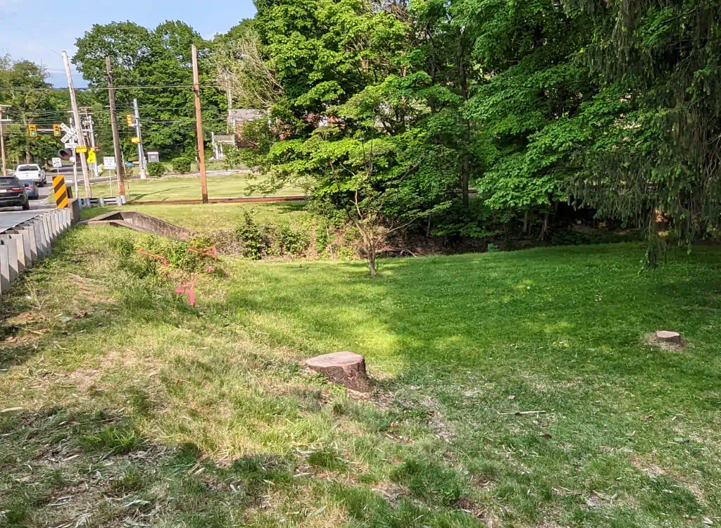 ground stumps by the road