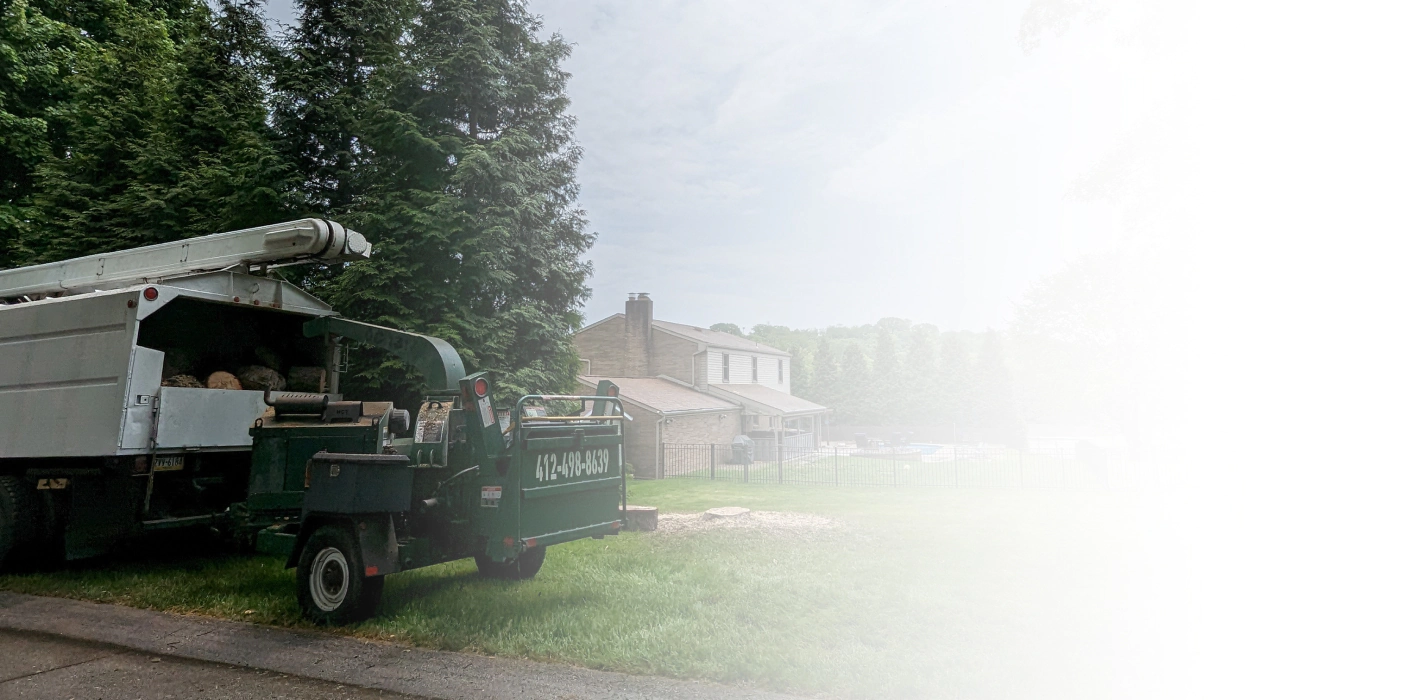 truck loaded with cutted trees