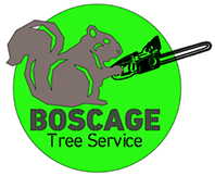 Boscage Tree Service